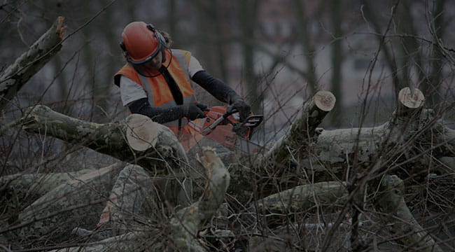 oakley Tree Service